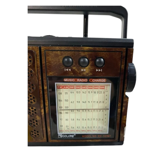 RADIO FM AM RECARGABLE ANALOGICA