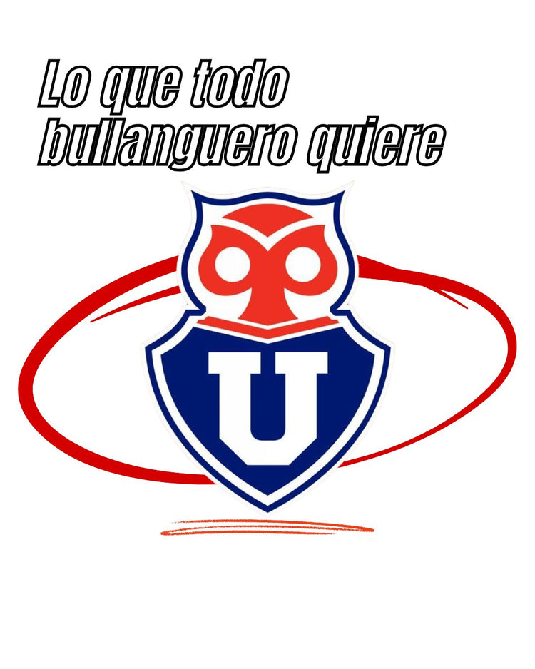 Universidad de chile