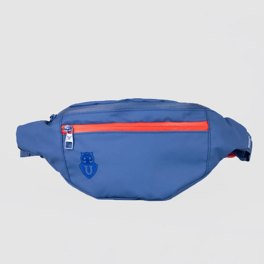Banano universidad de chile💙❤️